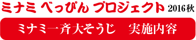 ミナミべっぴんプロジェクト　2016秋　ミナミ一斉大そうじ　実施内容