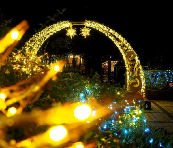 まいどおおきに!光マッセ! ~大阪ミナミのイルミネーション~ 3 2髙島屋